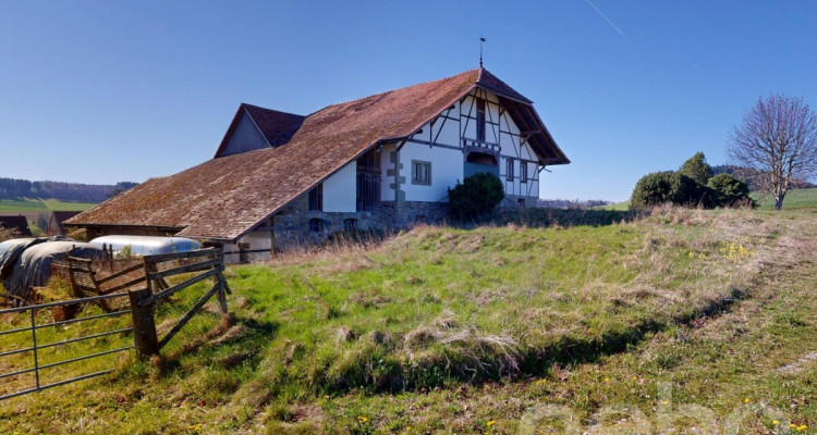 Rare opportunité de créer plusieurs appartements image 3