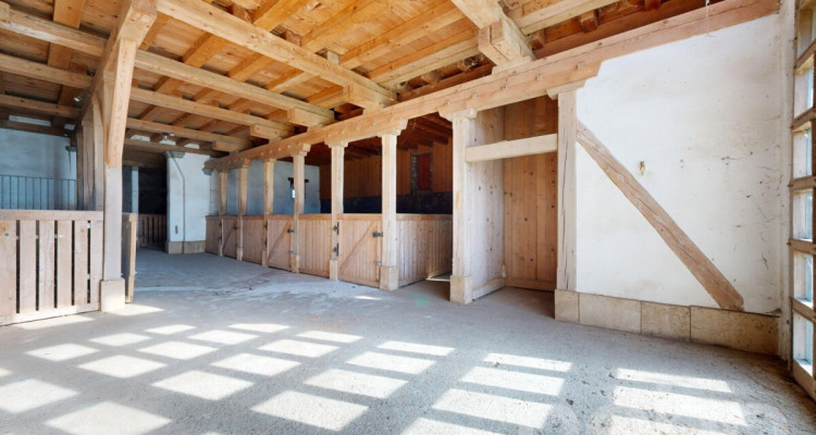 Rare opportunité de créer plusieurs appartements image 8