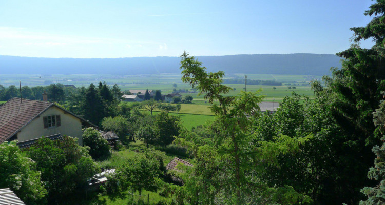 APPARTEMENT AVEC TERRASSE ET JARDIN DHIVER image 3