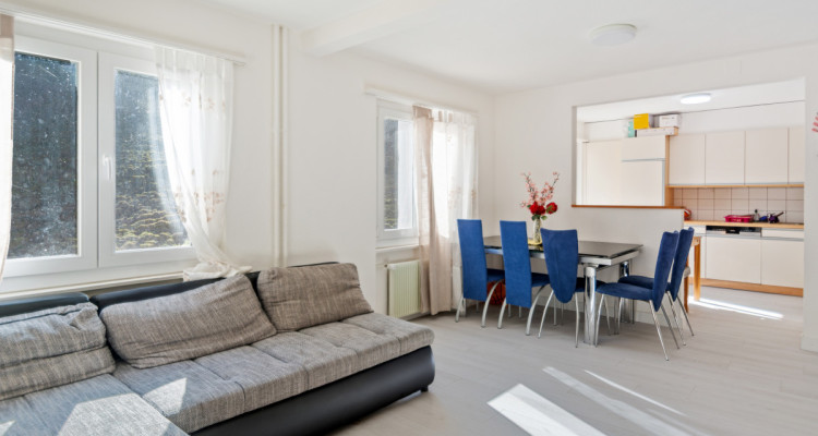 Opportunité à saisir !!! 4.5 pces avec vue !!!  image 5