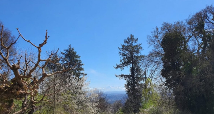 Havre de paix avec vue panoramique et jardin privé à Evilard image 12