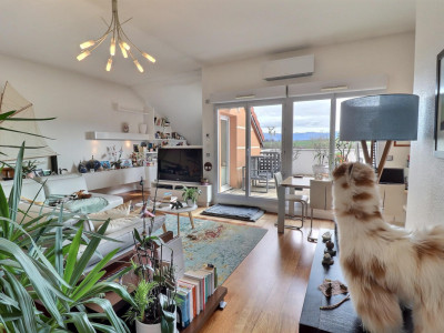 Superbe Attique en viager occupé avec rente image 8