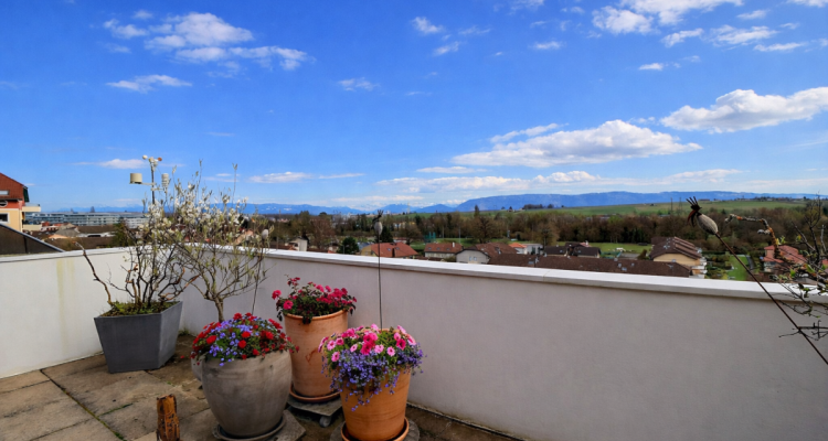 Superbe Attique en viager occupé avec rente image 4