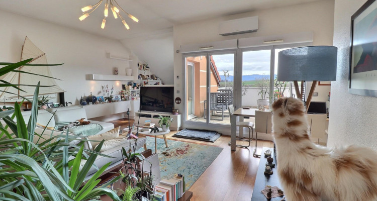 Superbe Attique en viager occupé avec rente image 8