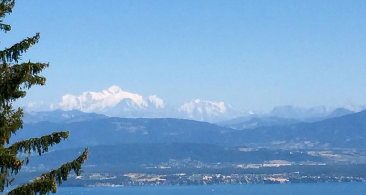  Faites une offre pour cette superbe villa dexception, avec vue sur le lac et les alpes image 1