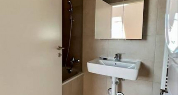 Immeuble rénové, 3 lots sur 5 loués, 4 appartements et un local commercial image 13