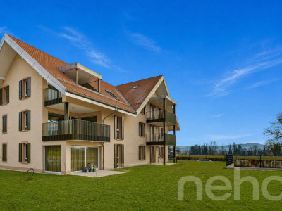 Lumineux 3.5 pièces avec galetas privatif image 1