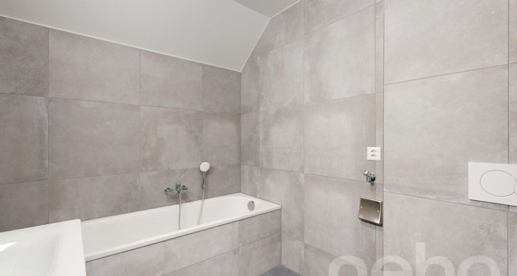 Lumineux 3.5 pièces avec galetas privatif image 10