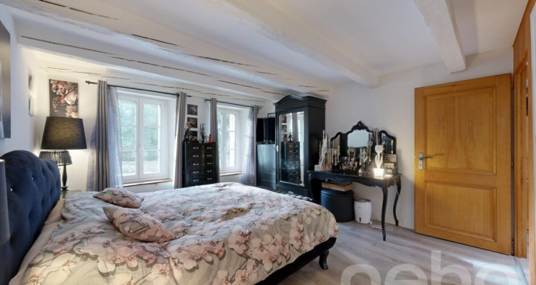 Maison villageoise avec terrasse et séjour cathédrale - Corsier image 7