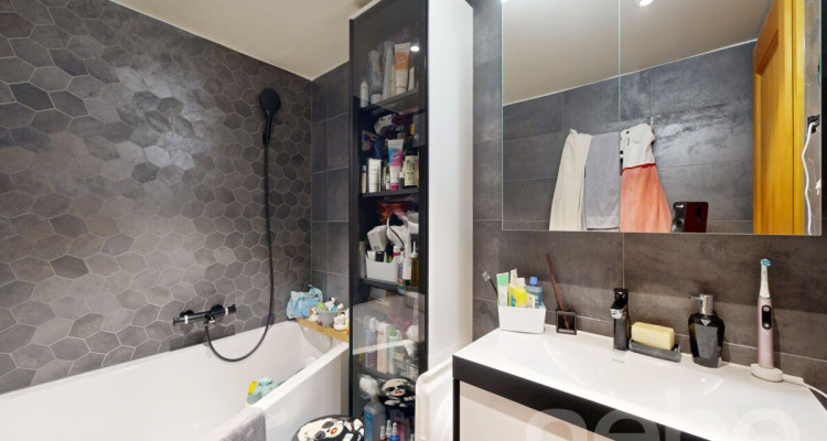 Maison villageoise avec terrasse et séjour cathédrale - Corsier image 10