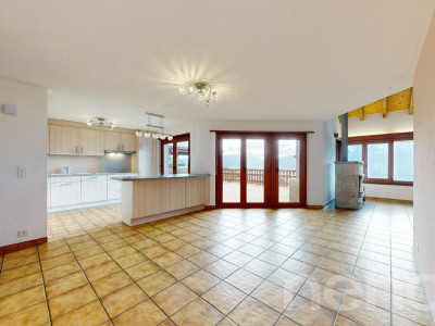 Grande maison avec appartement 2.5 indépendant - Vue dégagée image 8