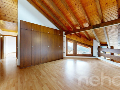 Grande maison avec appartement 2.5 indépendant - Vue dégagée image 9