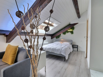 Appartement 1.5 pièces – Attique meublé et équipé – Plainpalais image 4