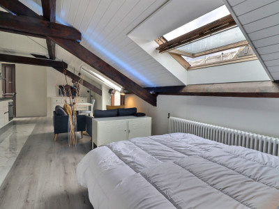 Appartement 1.5 pièces – Attique meublé et équipé – Plainpalais image 6