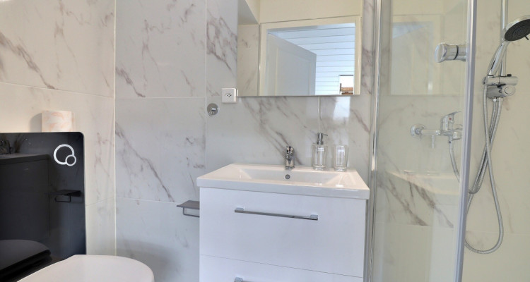 Appartement 1.5 pièces – Attique meublé et équipé – Plainpalais image 9