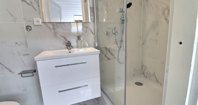 Appartement 1.5 pièces – Attique meublé et équipé – Plainpalais image 10