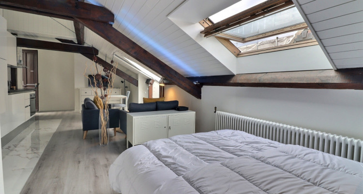 Appartement 1.5 pièces – Attique meublé et équipé – Plainpalais image 6