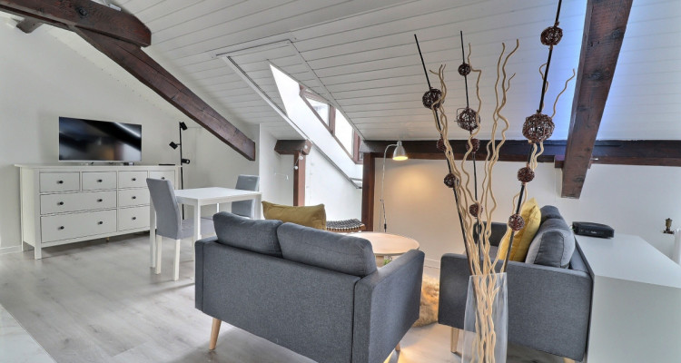 Appartement 1.5 pièces – Attique meublé et équipé – Plainpalais image 2