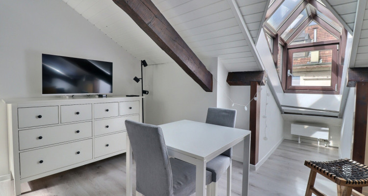 Appartement 1.5 pièces – Attique meublé et équipé – Plainpalais image 7