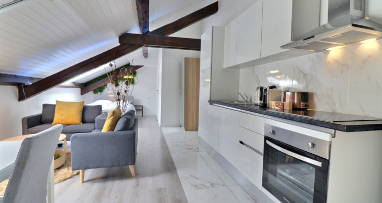 Appartement 1.5 pièces – Attique meublé et équipé – Plainpalais image 3