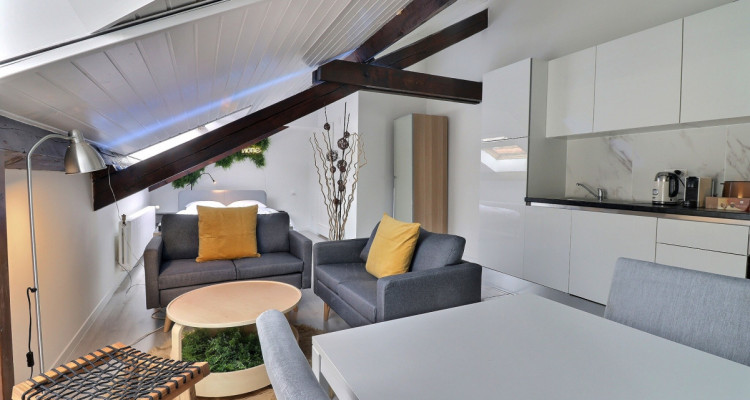 Appartement 1.5 pièces – Attique meublé et équipé – Plainpalais image 1