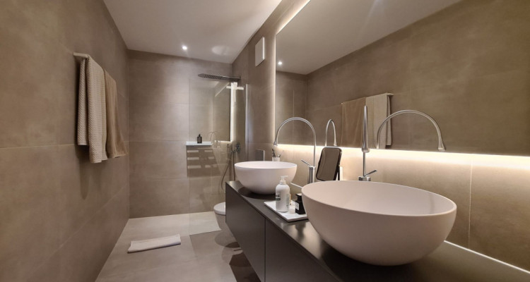 Magnifique appartement avec terrasse image 7