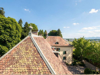Duplex de 7,5 pièces dexception au sein du Château Barillet, Art de vivre entre vignes et Genève image 3