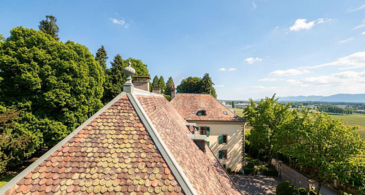 Duplex de 7,5 pièces dexception au sein du Château Barillet, Art de vivre entre vignes et Genève image 3