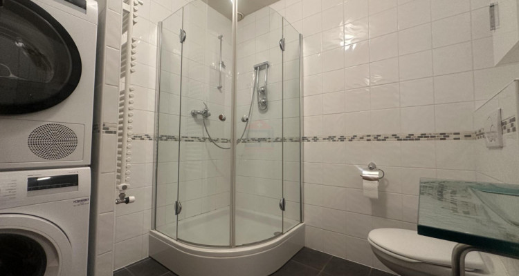 Duplex de 7,5 pièces dexception au sein du Château Barillet, Art de vivre entre vignes et Genève image 9