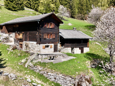 Véritable chalet coup de cœur – Havre de paix face aux montagnes image 1