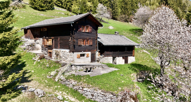 Véritable chalet coup de cœur – Havre de paix face aux montagnes image 1