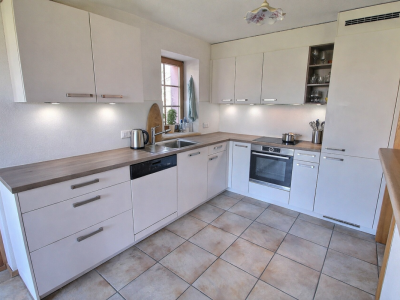 Aigle, maison vigneronne en viager occupé sans rente limité à 10 ans image 1