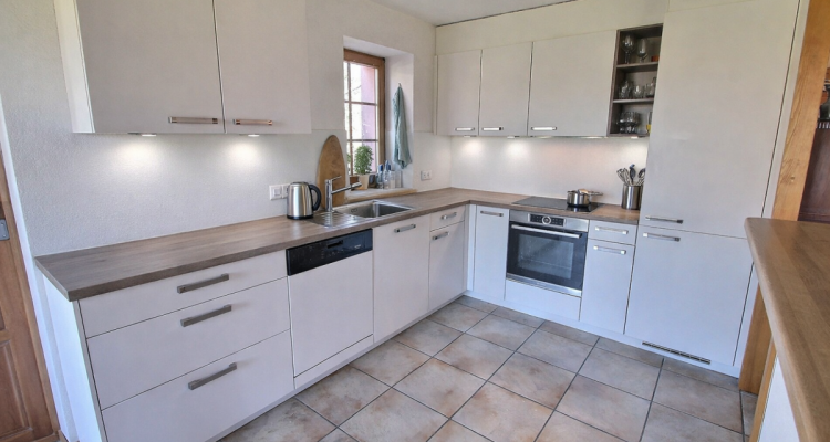 Aigle, maison vigneronne en viager occupé sans rente limité à 10 ans image 1