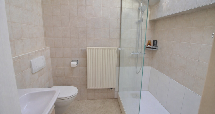 Aigle, maison vigneronne en viager occupé sans rente limité à 10 ans image 7