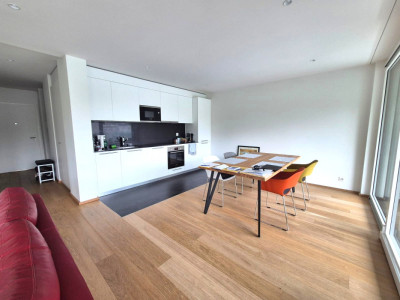 Magnifique 4 pièces neuf avec vaste terrasse zone résidentielle Cologny/Gradelle image 2