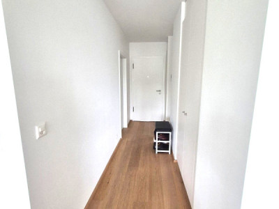 Magnifique 4 pièces neuf avec vaste terrasse zone résidentielle Cologny/Gradelle image 11