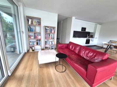 Magnifique 4 pièces neuf avec vaste terrasse zone résidentielle Cologny/Gradelle image 3