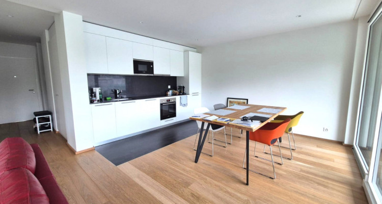 Magnifique 4 pièces neuf avec vaste terrasse zone résidentielle Cologny/Gradelle image 2