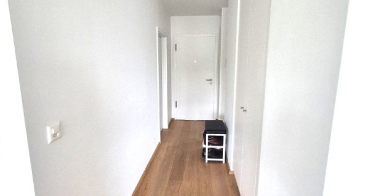 Magnifique 4 pièces neuf avec vaste terrasse zone résidentielle Cologny/Gradelle image 11