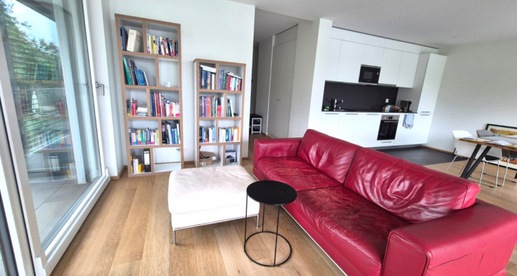 Magnifique 4 pièces neuf avec vaste terrasse zone résidentielle Cologny/Gradelle image 3