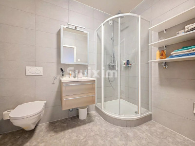 Superbe 5 pièces rez de jardin immeuble Minergie Vieusseux image 10