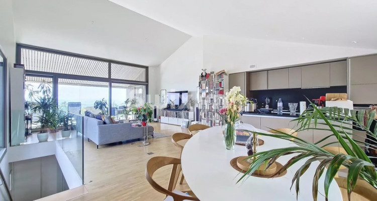 Superbe maison HPE vue panoramique Bassins image 1