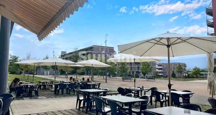 Modern Furnished Arcade Café in Meyrin, Switzerland image 4