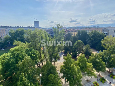 Très bel appartement dinvestissement image 3