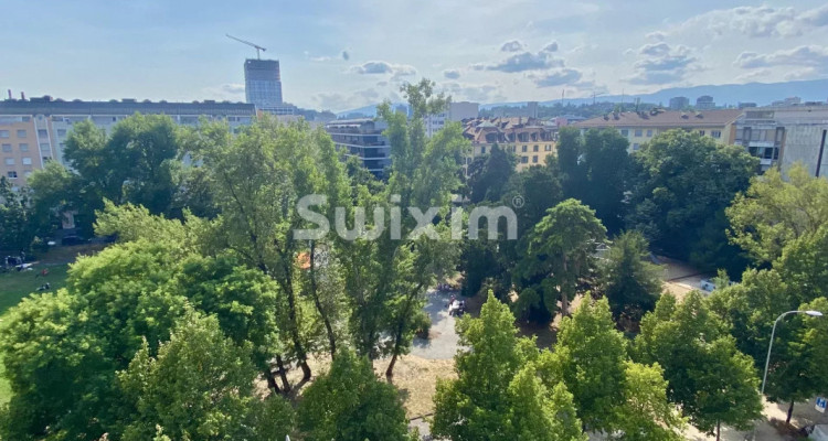 Très bel appartement dinvestissement image 3