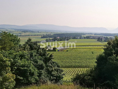 Charmante propriété villageoise image 1