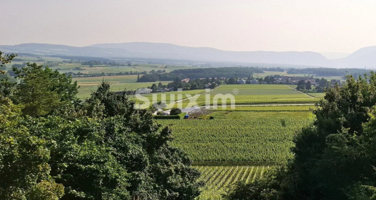 Charmante propriété villageoise image 1