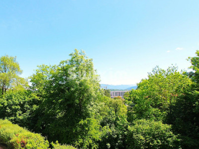 Spacieuse demeure, calme et centralité image 7