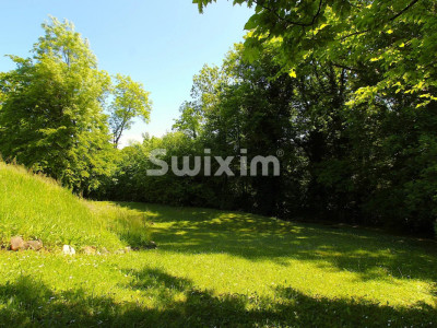 Spacieuse demeure, calme et centralité image 8