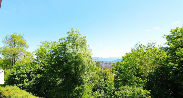 Spacieuse demeure, calme et centralité image 7
